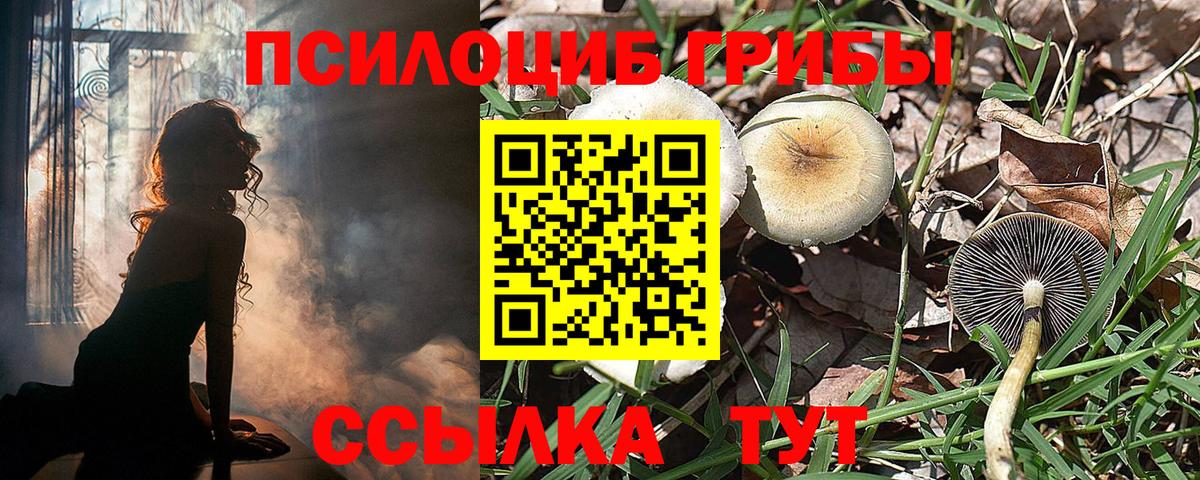 Гай  Галлюциногенные грибы MAGIC MUSHROOMS  Псилоцибиновые грибы GOLDEN TEACHER  Вход с VPN 