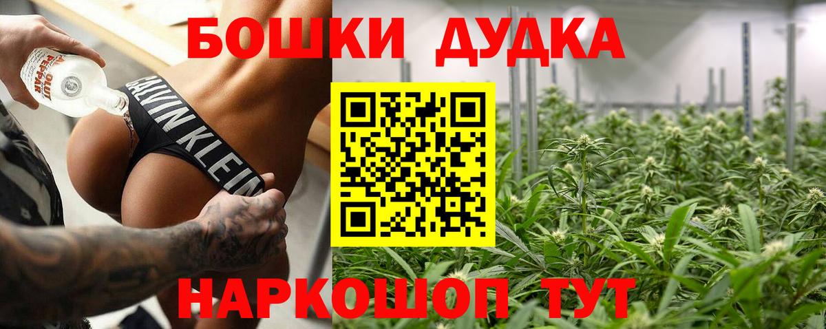 Канабис семена  Марихуана план  Каннабис планчик  Гай  Вход с VPN 
